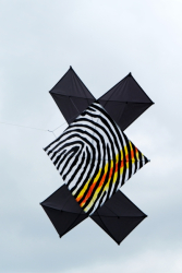 Bolsover2018-028