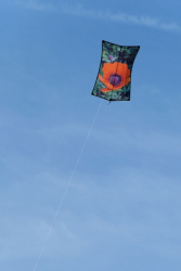 Bolsover2018-052
