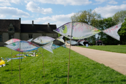 Bolsover2018-060