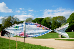 Bolsover2018-061