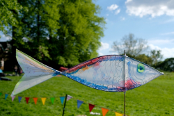 Bolsover2018-062