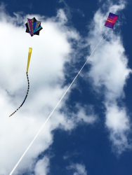 Bolsover2018-064