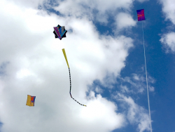Bolsover2018-065