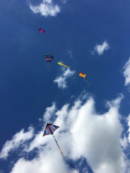 Bolsover2018-066