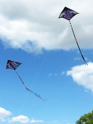 Bolsover2018-067