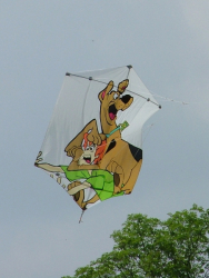 Bolton2007-006