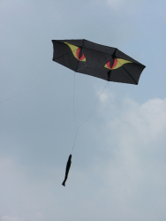 Bolton2007-007