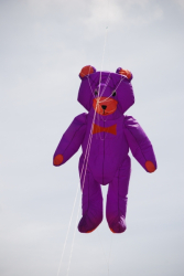 Bolton2009-018