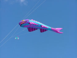 BoltonAug2006-008