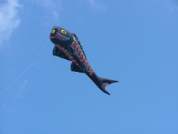 BoltonAug2006-009