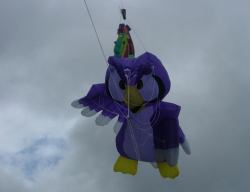 Bolton2006-008