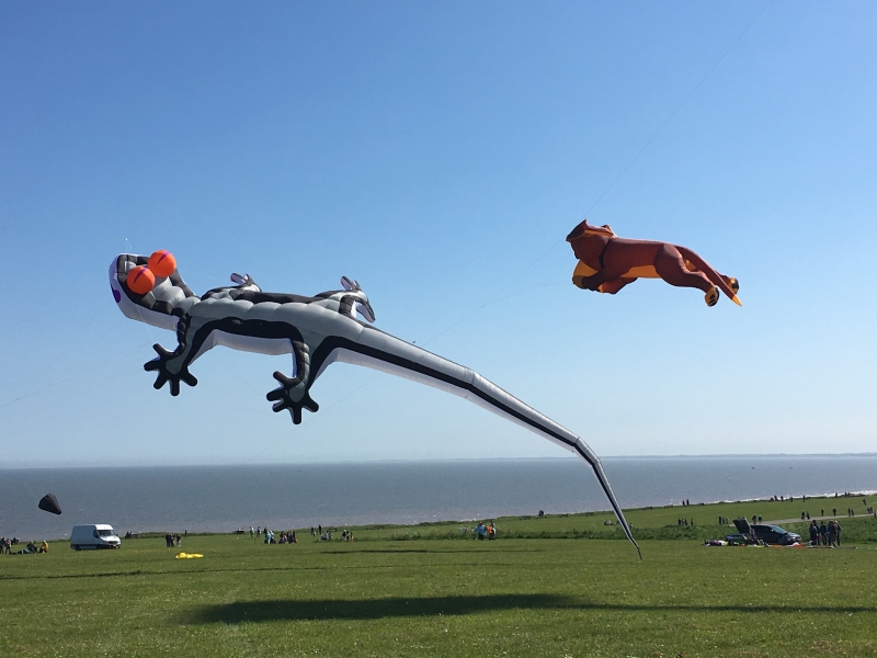 Bridlington2018-038