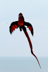 Bridlington2019-003