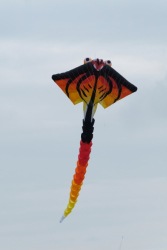 Bridlington2019-004
