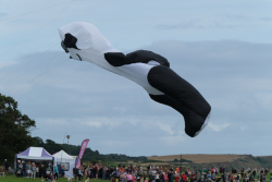 Bridlington2021-028