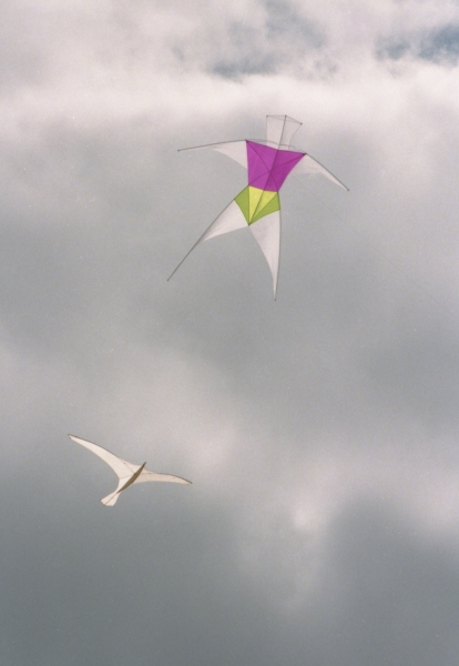 Bristol2002-004