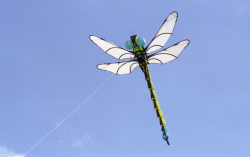 Bristol2002-005