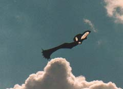 Bristol2003-003