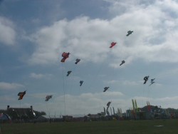 Bristol2004-024