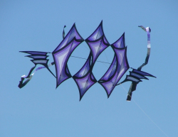 Bristol2004-049