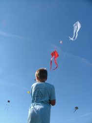 Bristol2005-032