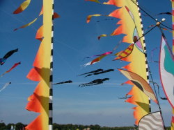 Bristol2005-036