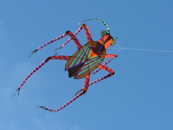 Bristol2005-044