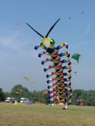 Bristol2005-062