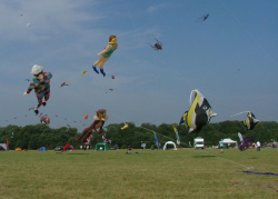 Bristol2005-066