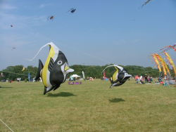 Bristol2005-069
