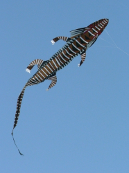 Bristol2005-072