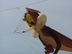 Bristol2005-073