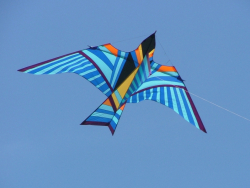 Bristol2005-075