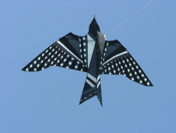 Bristol2005-076