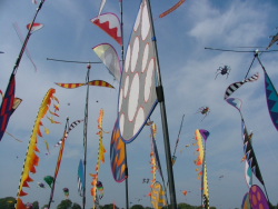 Bristol2005-079