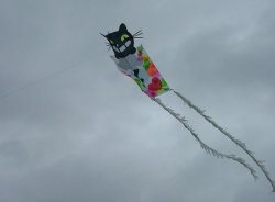 Bristol2006-006