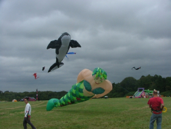Bristol2006-019