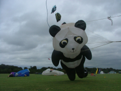 Bristol2006-021