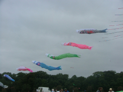 Bristol2006-059