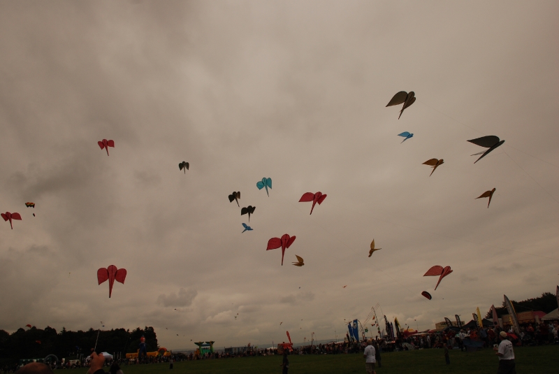 Bristol2007-044