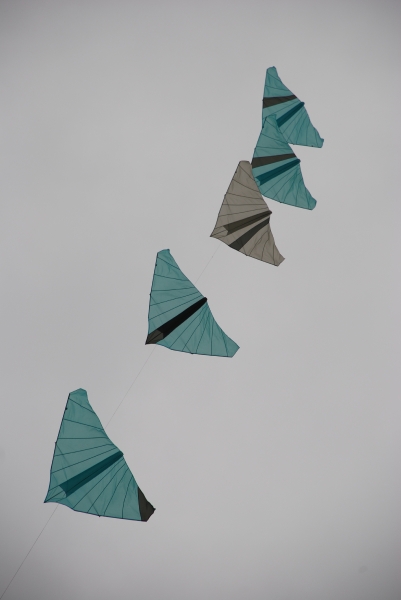 Bristol2008-017