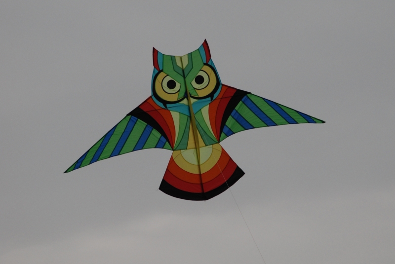 Bristol2008-034
