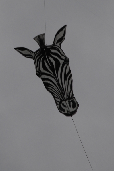 Bristol2008-037
