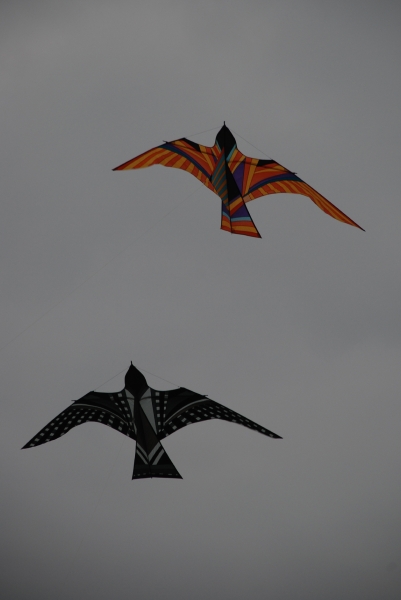 Bristol2008-044