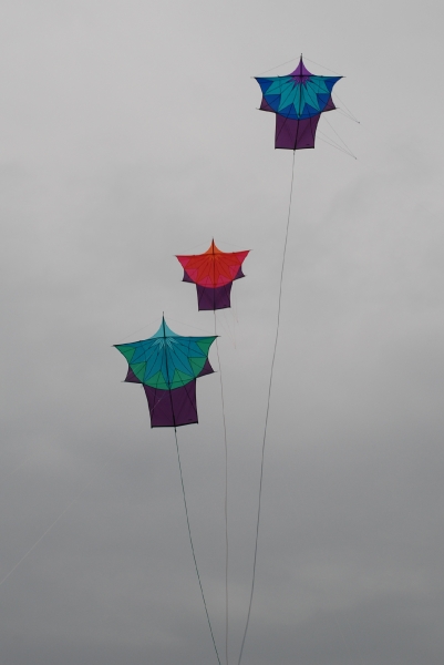 Bristol2008-048