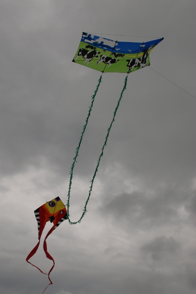 Bristol2008-060