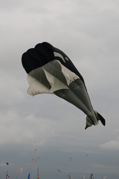Bristol2008-061