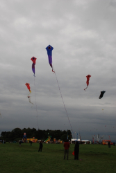 Bristol2008-056