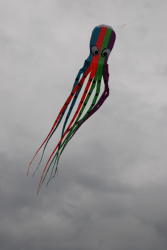 Bristol2008-058