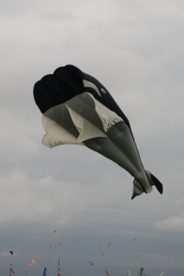 Bristol2008-061